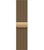 Watch Acc/40/Radiant Gold Milanese Loop