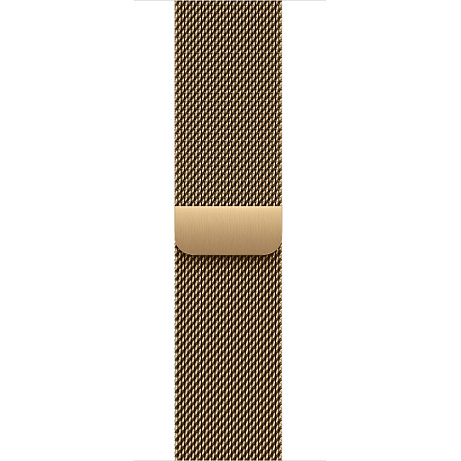 Watch Acc/40/Radiant Gold Milanese Loop