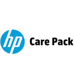 HP 4y NextBusDay Large Monitor HW Supp