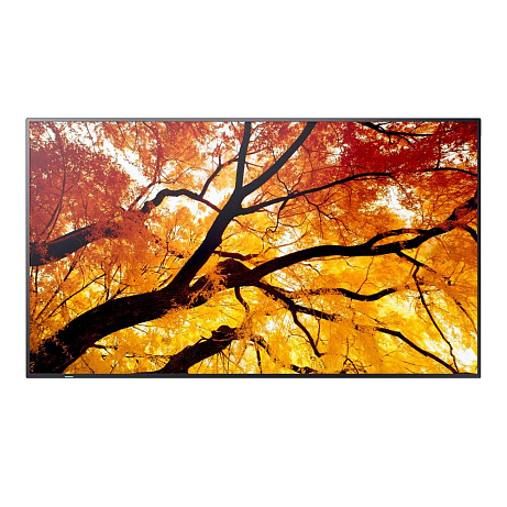 65" LED SHARP M652,3840x2160,IPS,24/7,550cd