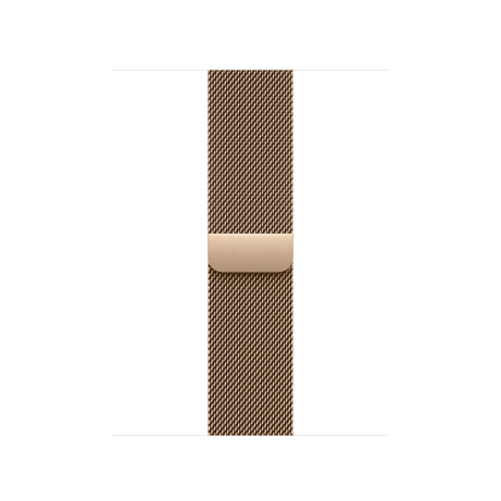 Watch Acc/40/Gold Milanese Loop