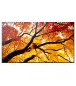 50" LED SHARP M502,3840x2160,24/7