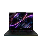 MSI Raider/16 Max HX B2WH-244CZ/U9-290HX/16"/2560x1600/32GB/2TB/RTX 5070Ti/W11H/Black/2R