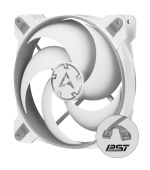 ARCTIC BioniX P140 (Grey/White)