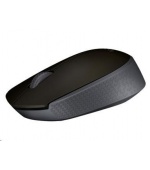 Logitech Wireless Mouse M170