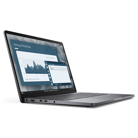 Dell Pro 14/PC14255/R5-220/14"/WUXGA/8GB/256GB/AMD int/W11P/Gray/3R NBD