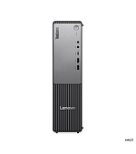 Lenovo ThinkCentre neo/55s Gen 6/SFF/R5-220/8GB/512GB/AMD int/W11P/3ROn-Site