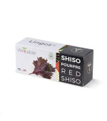 Véritable Lingot Fialový shiso - BIO