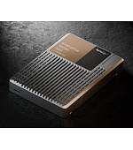 Synology U.3 NVMe SPU7200D-1920G