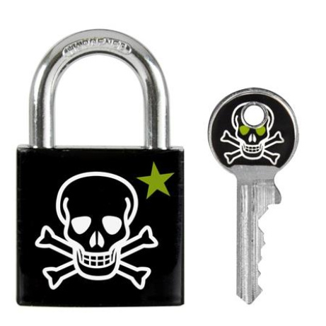 Master Lock Visací zámek z pevného hliníku 3430EURDSKULL - 30mm