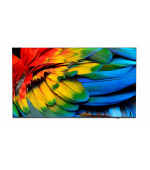75" HTV Philips 75HFL6214U - Business TV