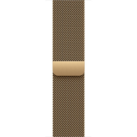 Watch Acc/42/Radiant Gold Milanese Loop