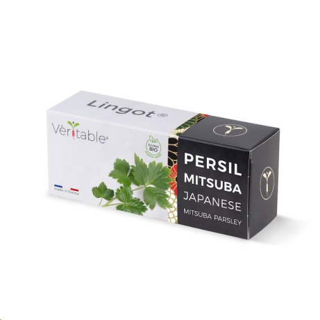 Véritable Lingot Japonská petržel Mitsuba