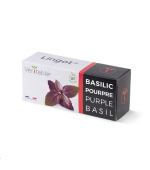 Véritable Lingot Fialová bazalka - BIO