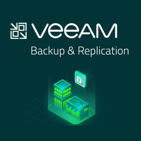 Veeam Backup & Replication Standard per VM (1VM/1M)