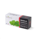 Véritable Lingot Bazalka mamutí