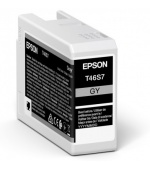Epson Singlepack Gray T46S7 Ultrachrome