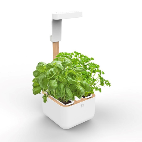 Véritable Botaneo - Automatický květináč + 2 bylinkové náplně