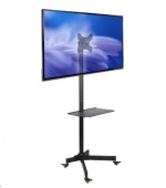 Stojan ErgoSolid Falco 22