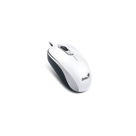 GENIUS DX-110/Kancelářská/Optická/1 000 DPI/Drátová USB/Bílá