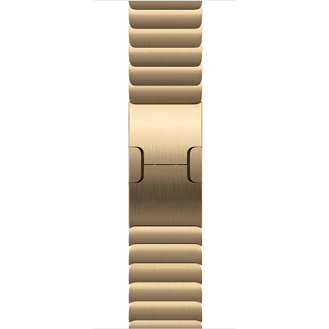 Watch Acc/42/Radiant Gold Link Bracelet