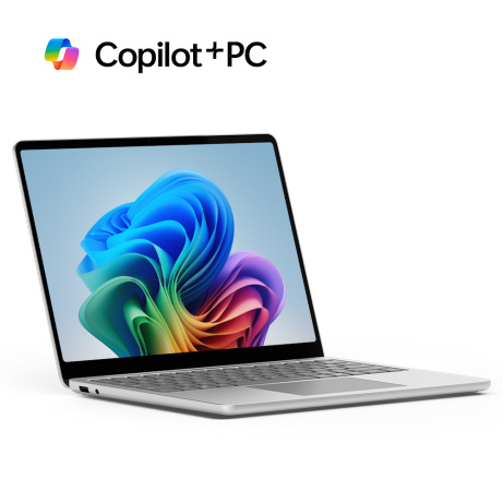 Microsoft Surface Laptop 13" (1. edice)/SD-X Plus/13"/1920x1280/T/16GB/1TB/Adreno/W11P/Platinum/2R