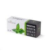 Véritable Lingot Máta klasnatá